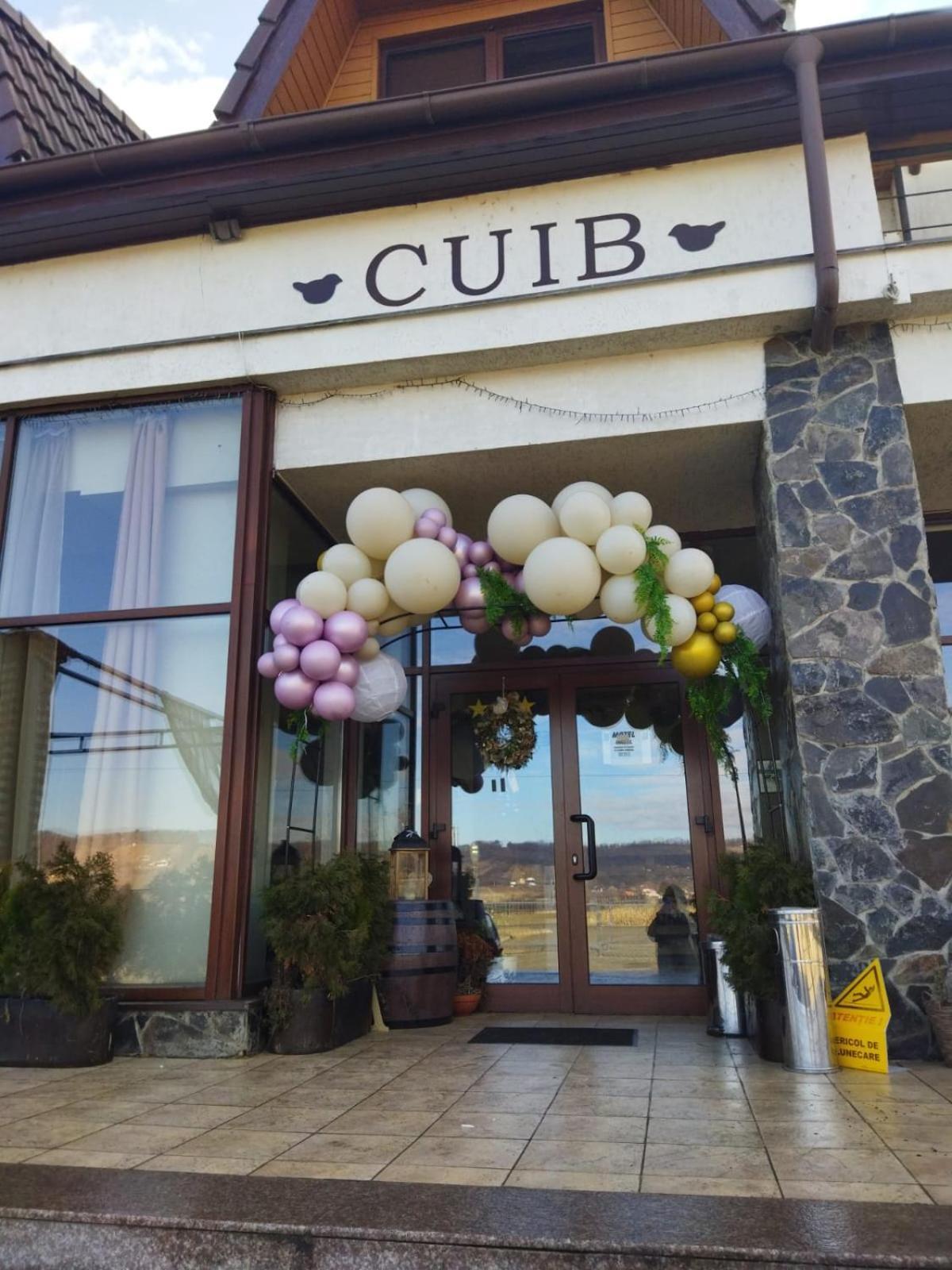 La Cuib Cristian Sibiu Ξενοδοχείο Δωμάτιο φωτογραφία